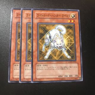 ライトロード・ハンター ライコウ N