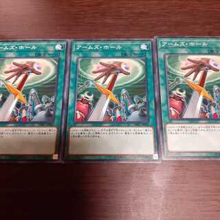 アームズ・ホール N