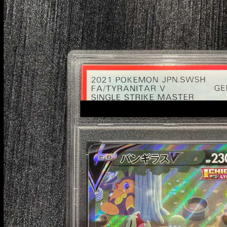 【PSA10】バンギラスV SR 077/070 1枚
