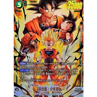 Son Gohan: Childhood (Parallel) [SCR☆] {FB10-122} 1枚