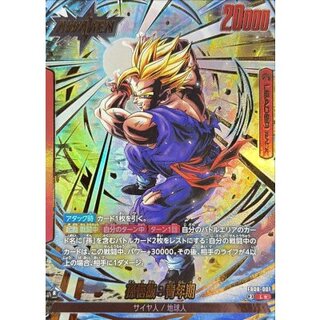 Son Gohan: Young Adult (Parallel) [L☆] {FB08-001} 1枚