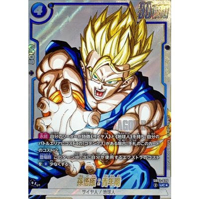 Son Gohan: Young Adult (Parallel/Manga Art) [UC☆] {SB02-026} 1枚