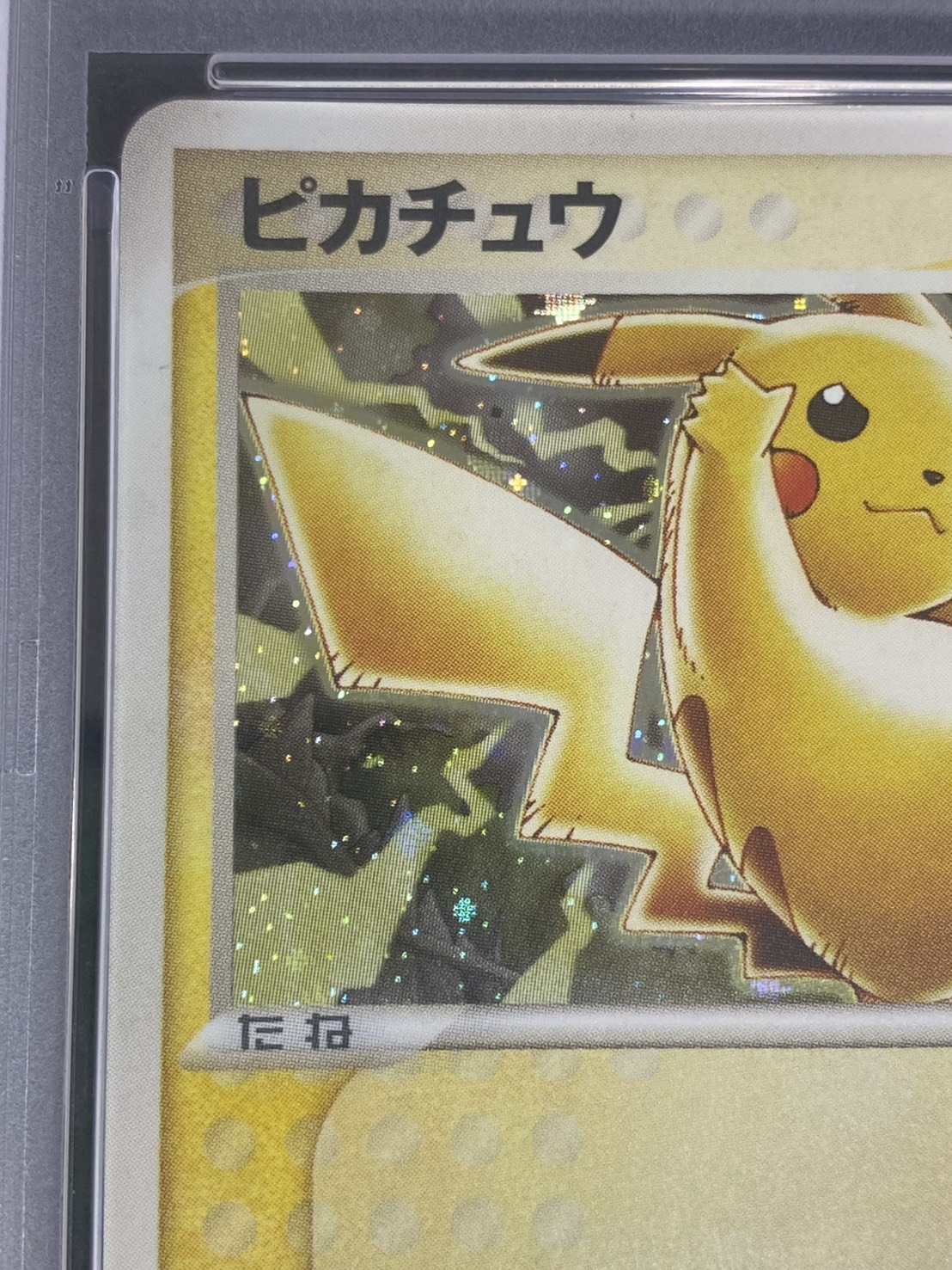 PSA10鑑定済〕ピカチュウ【P】{024/ADV-P} 1枚の通販 カードラッシュ