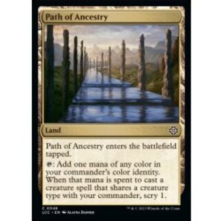 祖先の道/Path of Ancestry《英語》【LCC】 1枚