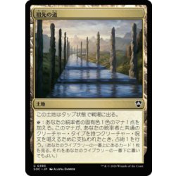 祖先の道/Path of Ancestry《日本語》【SOC】 1枚