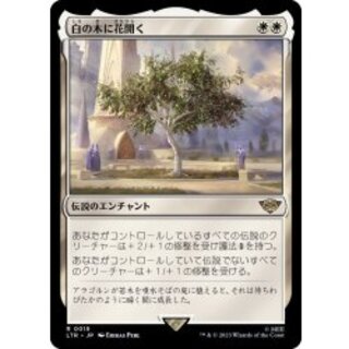 [EX+](FOIL)白の木に花開く/Flowering of the White Tree《日本語》【LTR】 1枚
