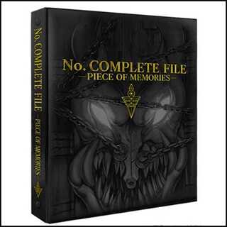 No.COMPLETE FILE PIECE OF MEMORIES 未開封 1枚