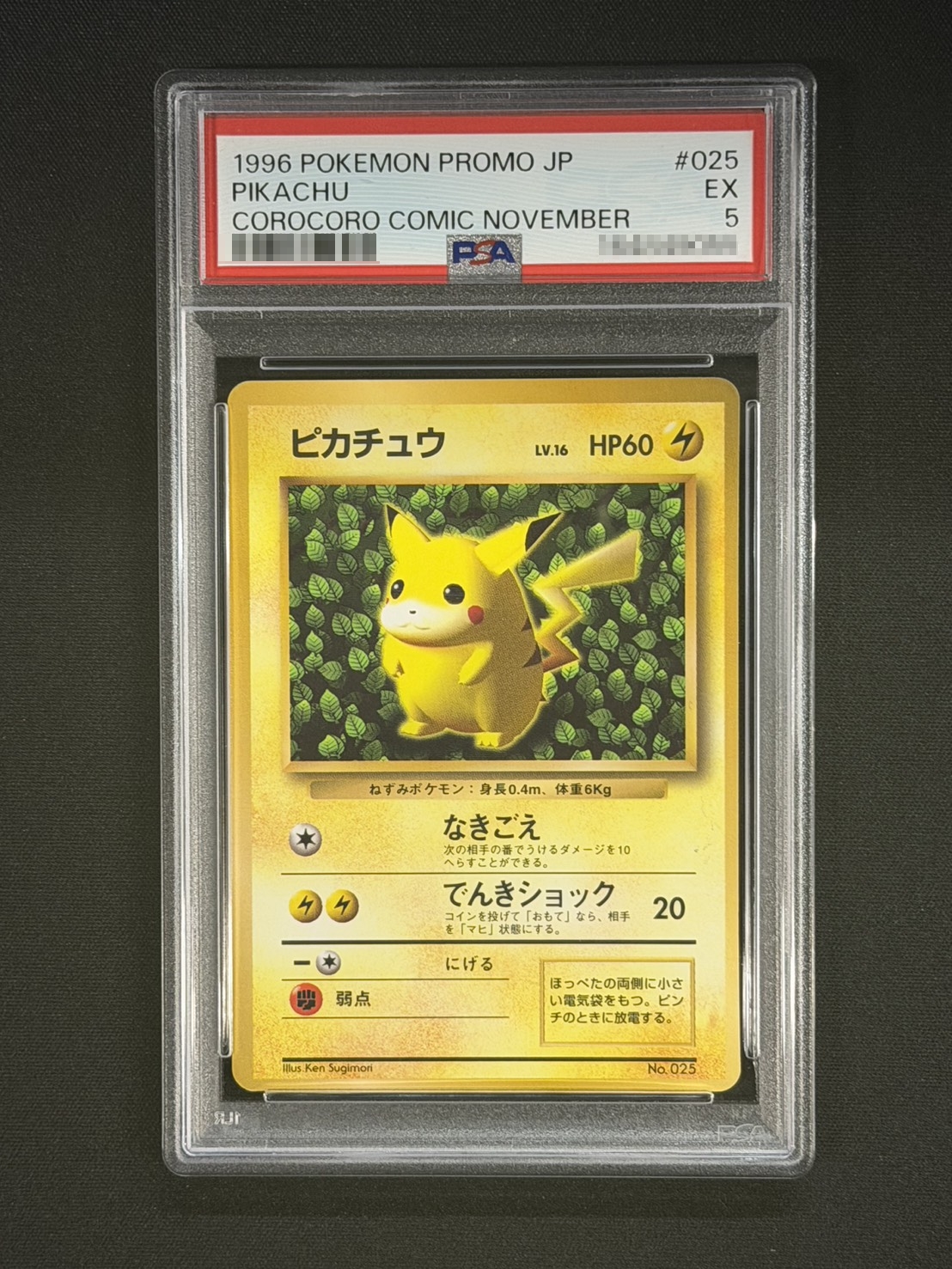 PSA5鑑定済〕ピカチュウ LV.16(光沢あり/Ken Sugimori)【-】{旧裏} 1の