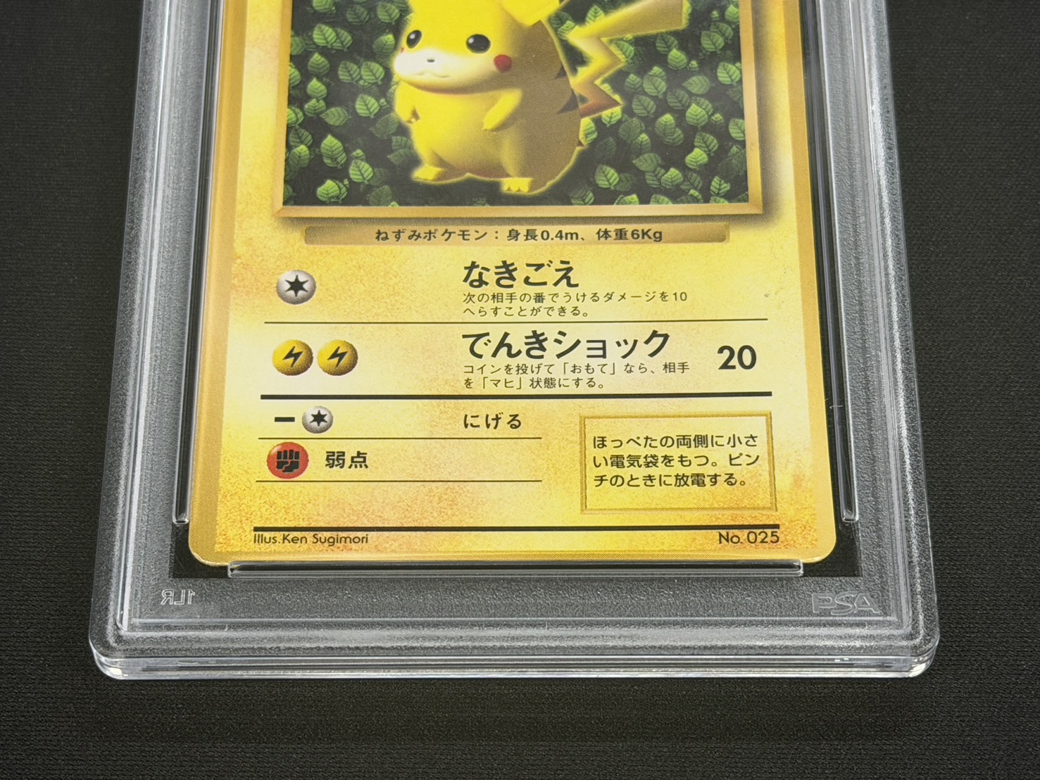 PSA5鑑定済〕ピカチュウ LV.16(光沢あり/Ken Sugimori)【-】{旧裏} 1の