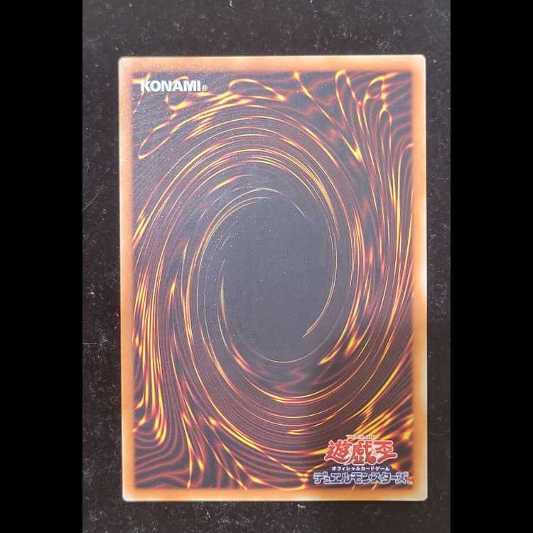 Psychic Mage-Swordsman Black Paladin [Relief] {303-051} 1枚
