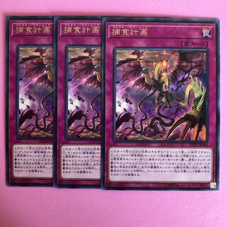 遊戯王 捕食計画 3枚 字レア