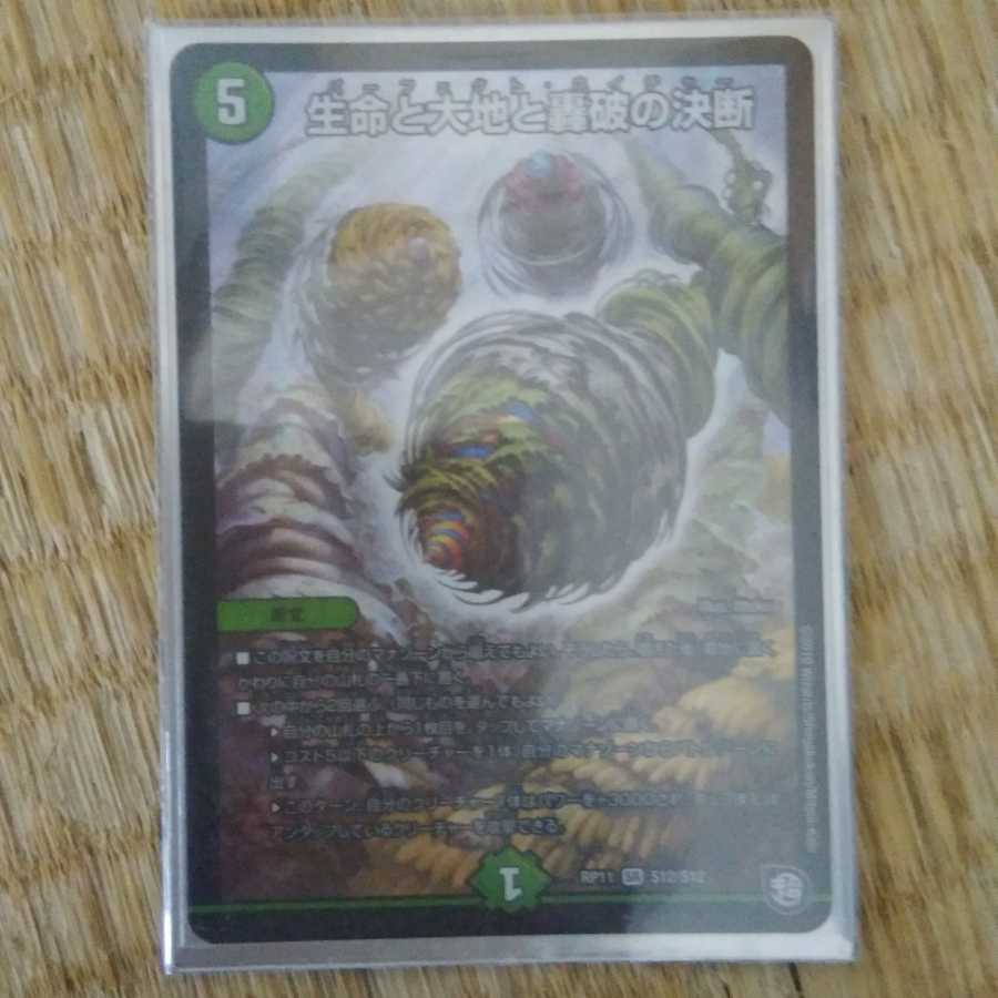 生命と大地と轟破の決断