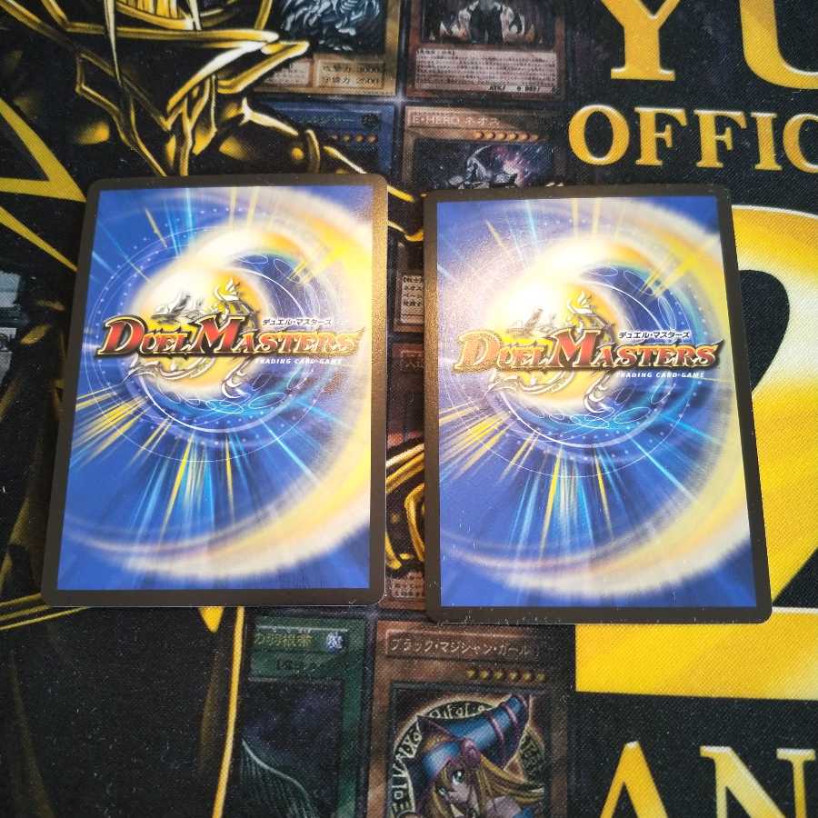 水上第九院 シャコガイル（専用）