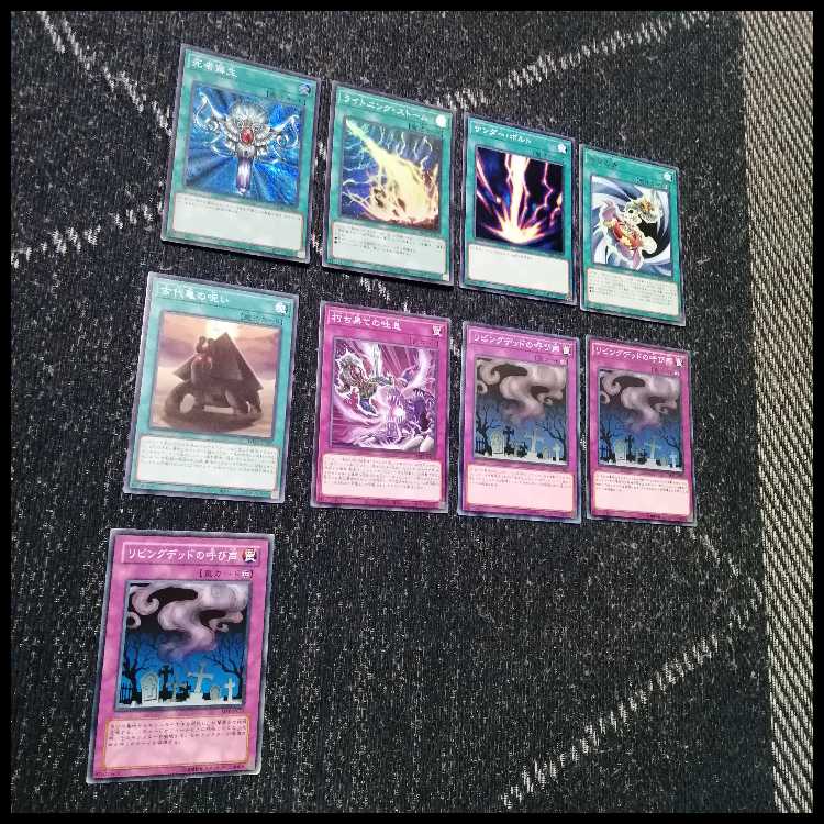 遊戯王 デッキ パンプキング リビングデッド ゴースト骨塚 [05478] 1枚