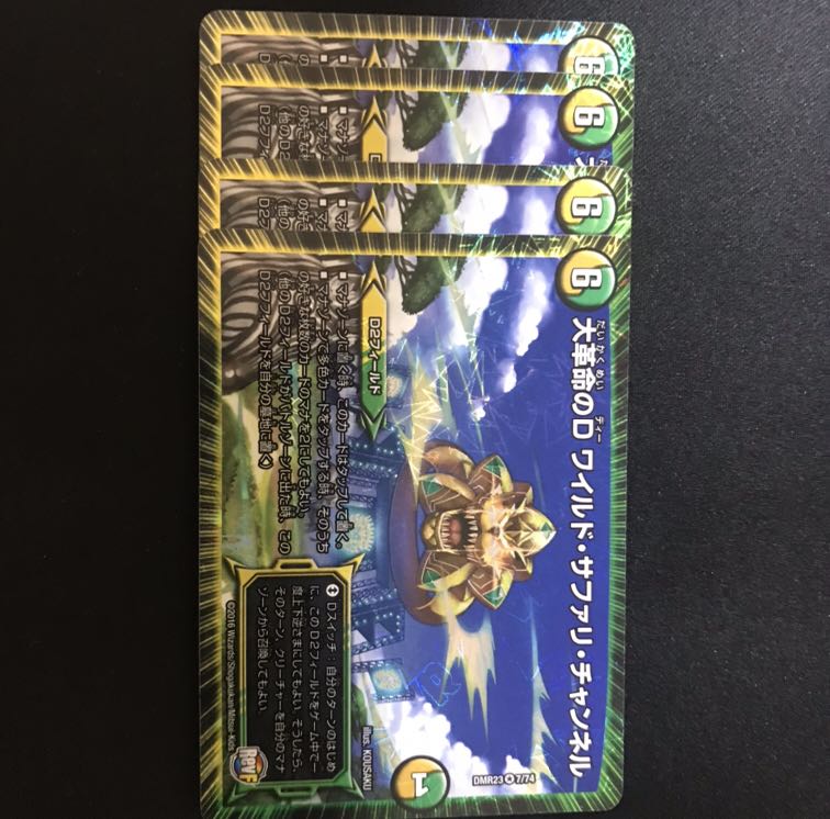 大革命のD ワイルド・サファリ・チャンネル