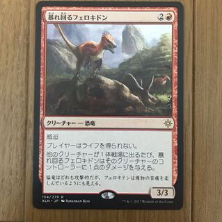 暴れ回るフェロキドン