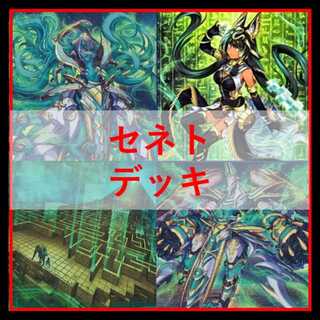 遊戯王　デッキ　セネト　デッキ　ネフェルタリ　[05495] 1枚