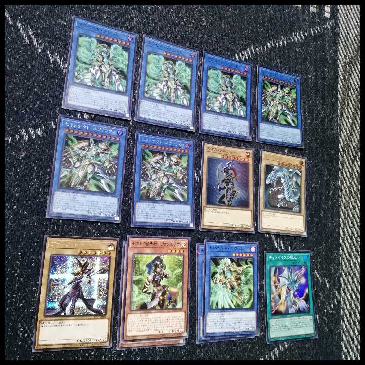 遊戯王　デッキ　セネト　デッキ　ネフェルタリ　[05495] 1枚