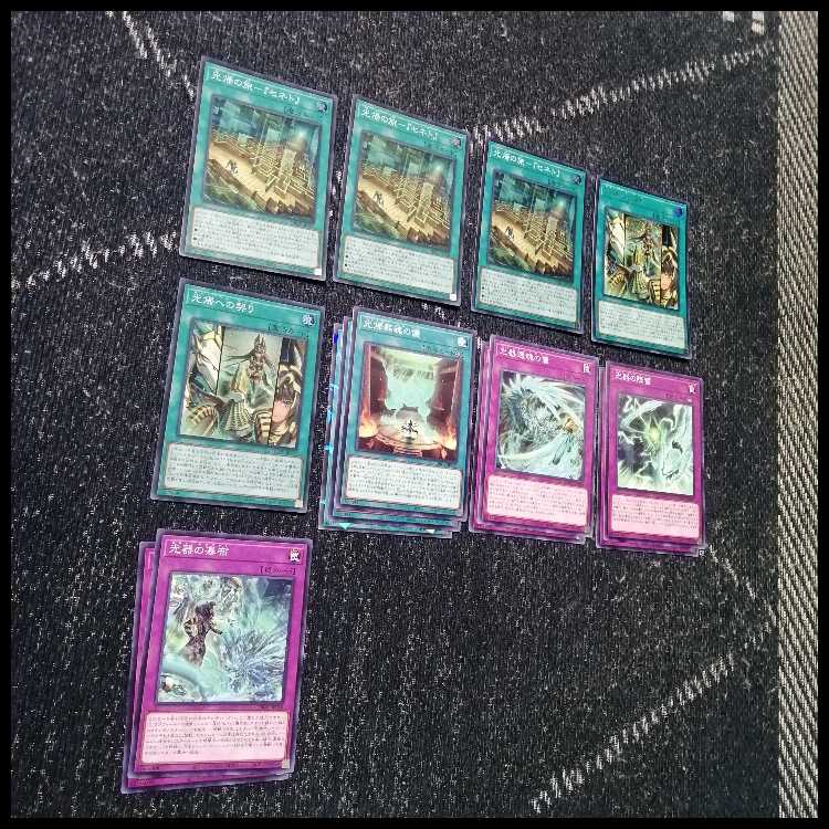 遊戯王　デッキ　セネト　デッキ　ネフェルタリ　[05495] 1枚