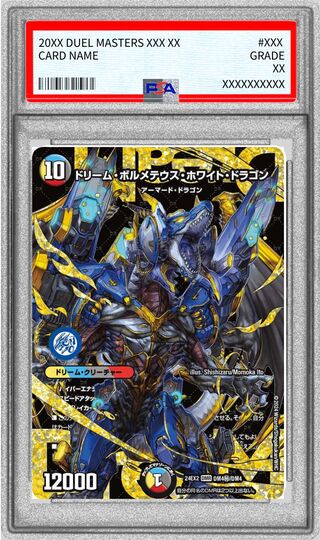 デュエルマスターズ PSA10 3枚セット デュエマ(PSA・BGS)のカード販売・通販 | magi