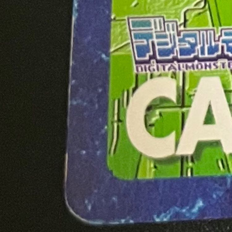 Old Digimon Cards  If you lose, you're a Michizure too! 2枚