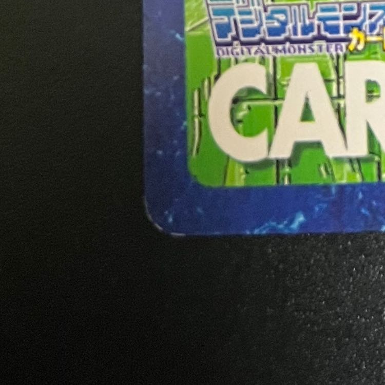 Old Digimon Cards  No Item Use! 1枚