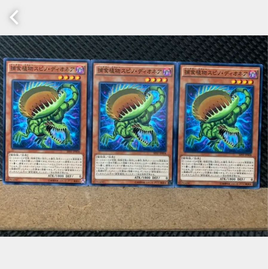 【ぽぽたん】遊戯王 5674 捕食植物スピノ・ディオネア 3枚 ノーマル