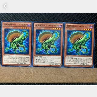 【ぽぽたん】遊戯王 5674 捕食植物スピノ・ディオネア 3枚 ノーマル