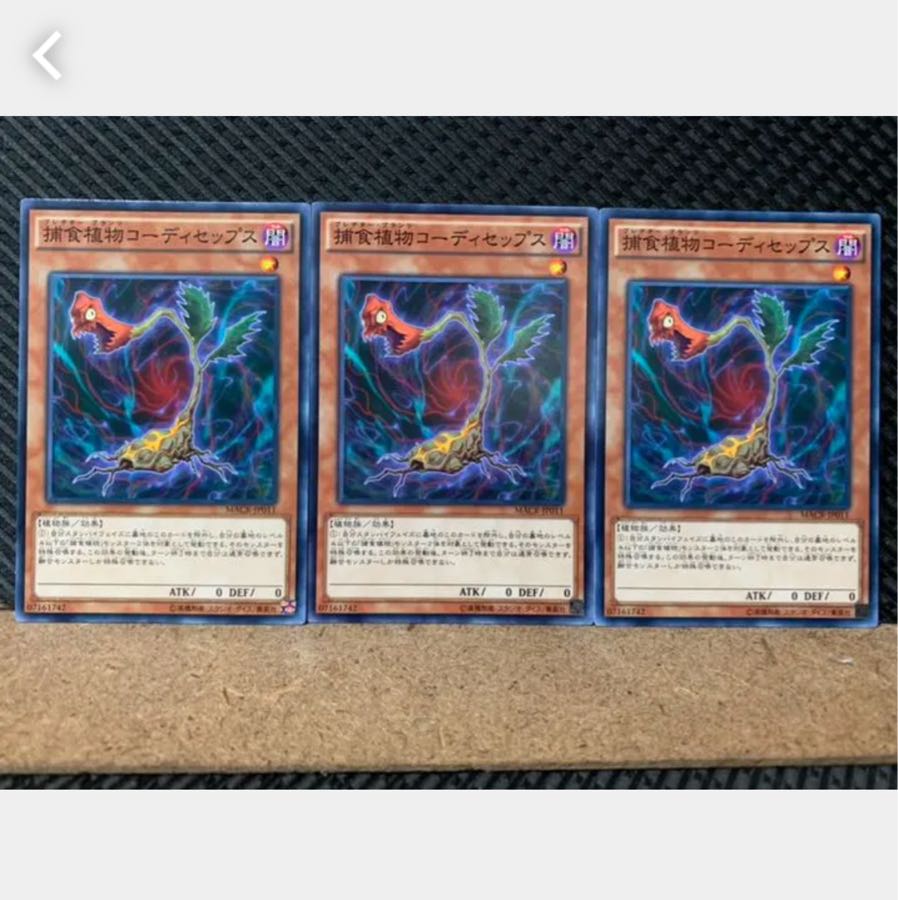 Popotan] Yu-Gi-Oh 5670 Predaplant Cordyceps 3 sheets Normal