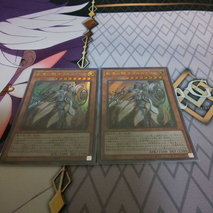 教導の騎士フルルドリス