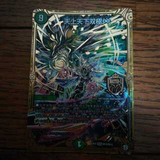 天上天下双極∞