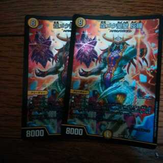 煌メク聖壁 灰瞳