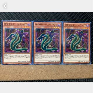 【ぽぽたん】遊戯王 5604 捕食植物ダーリング・コブラ 3枚 ノーマル