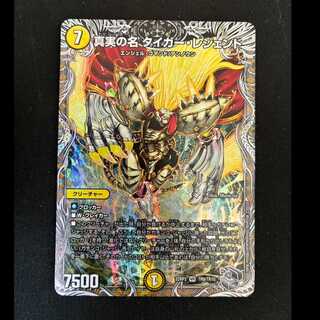 ＃　真実の名 タイガー・レジェンド(銀トレジャー) VR TR9/TR10 1枚