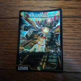 族長の魂友 ワチャゴナ