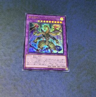 捕食植物トリフィオヴェルトゥム UR