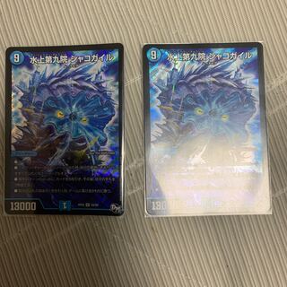 水上第九院 シャコガイル