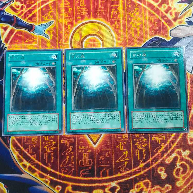 Ancient Forest Rare JP048 3枚