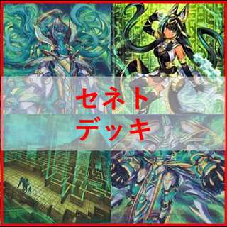 遊戯王　デッキ　セネト　デッキ　ネフェルタリ　[05517] 1枚