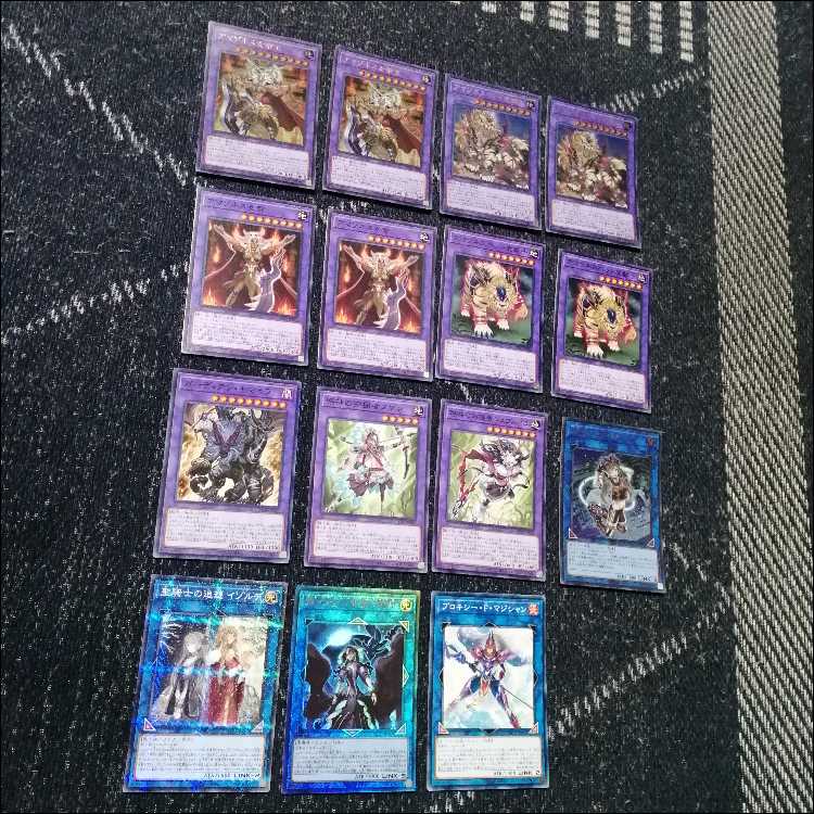 遊戯王　デッキ　アマゾネス　戦士長　霊術師　[05519] 1枚