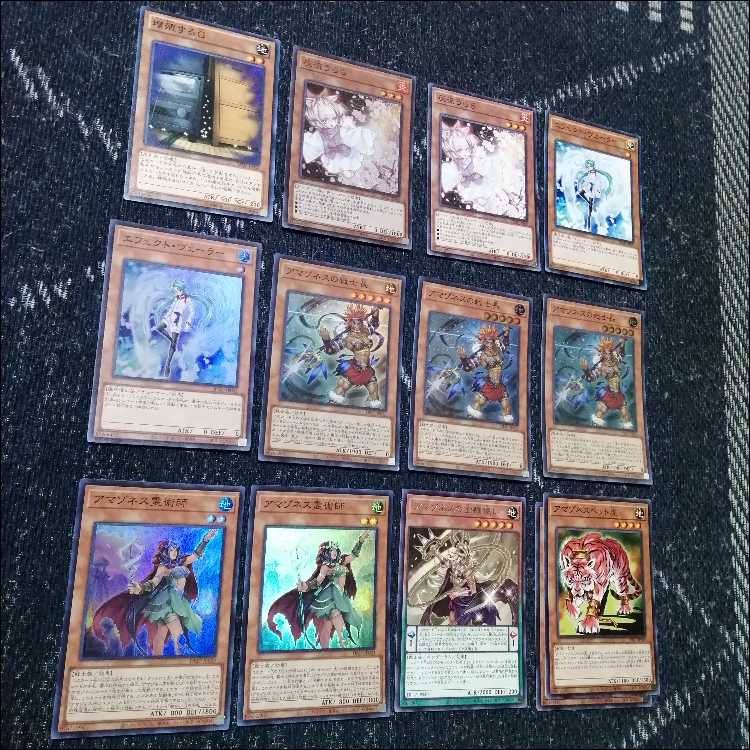 遊戯王　デッキ　アマゾネス　戦士長　霊術師　[05519] 1枚