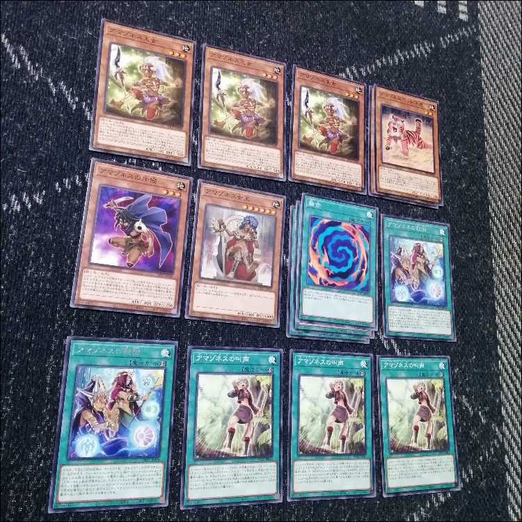 遊戯王　デッキ　アマゾネス　戦士長　霊術師　[05519] 1枚