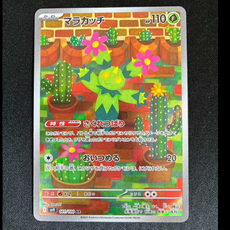 ＃　マラカッチ AR 101/100 1枚