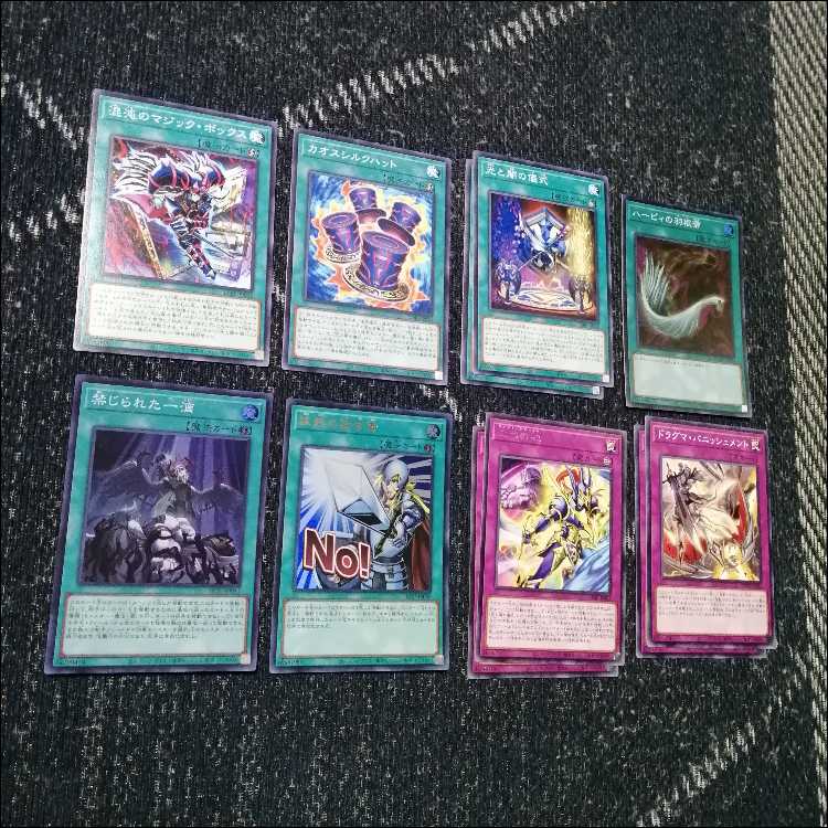 遊戯王　デッキ　烙印　光と闇の儀式　白き竜の落胤　[05530] 1枚