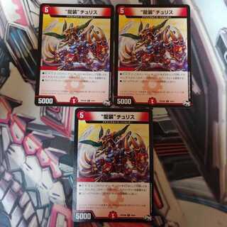 “龍装”チュリス