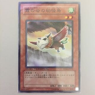 霞の谷の幼怪鳥 DT 2