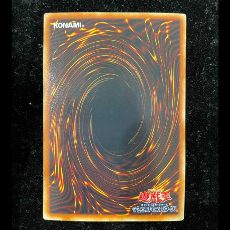 Black Rose Dragon Holographic Rare CSOC-JP039 1枚