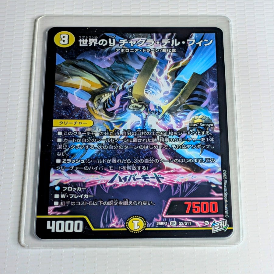 YChakra Del Fin SR S2/S11 Worldwide

 1枚