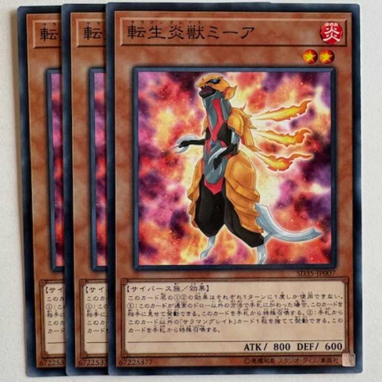 転生炎獣ミーア (3枚セット) SD35-JP007 遊戯王 トレカ道 3枚