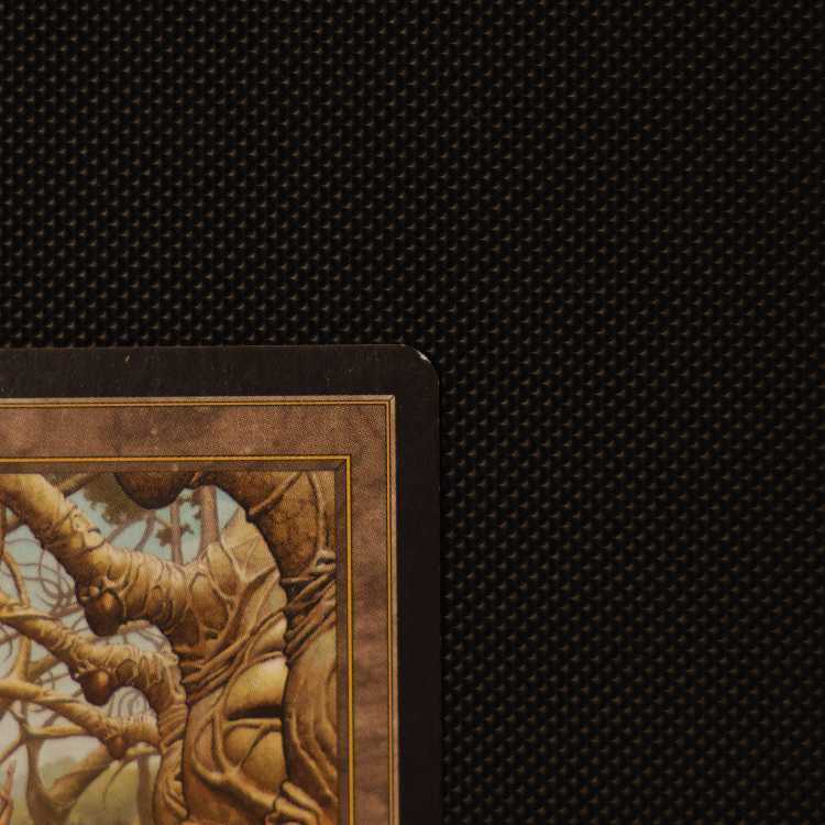 MTG/Gaea's Cradle/Gaea's Cradle/English/1 card/SP 1枚